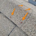 Exposed Roof Fasteners Roof Inspection